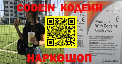 индика Камышлов