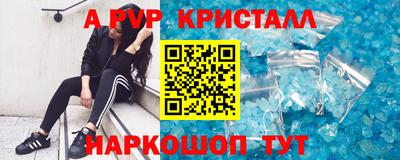 индика Камышлов
