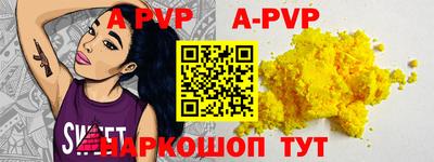 индика Камышлов
