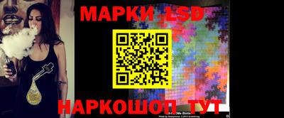 индика Камышлов