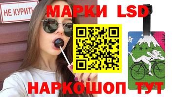индика Камышлов