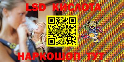 индика Камышлов