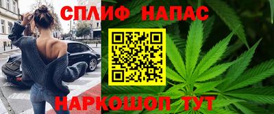 индика Камышлов