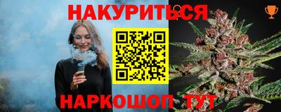 индика Камышлов