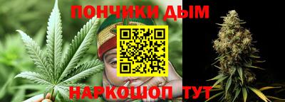 прущие грибы Кандалакша