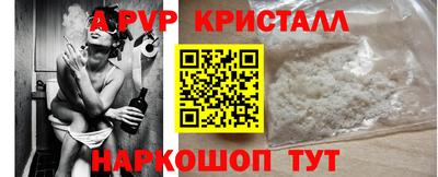 индика Камышлов