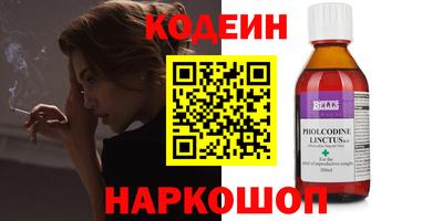 индика Камышлов