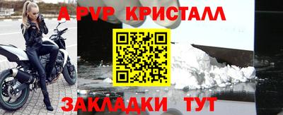 индика Камышлов