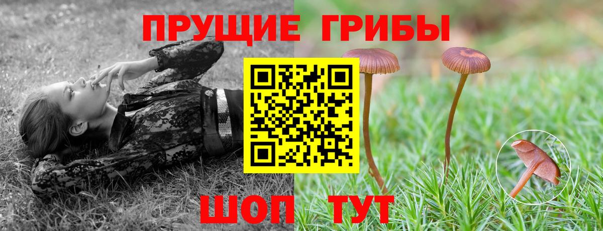Галлюциногенные грибы мухоморы  Галлюциногенные грибы Cubensis  Майкоп  Вход с VPN 