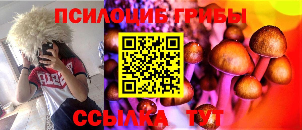 Псилоцибиновые грибы Cubensis Майкоп